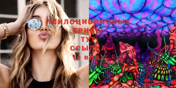 кокаин премиум Белокуриха