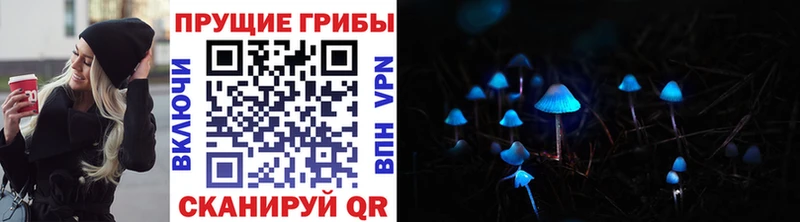 Купить закладки  Новомосковск  Галлюциногенные грибы GOLDEN TEACHER 